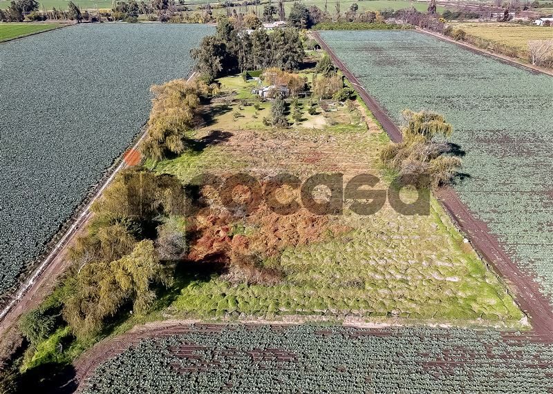 Parcela en venta en Curacaví — foto 1