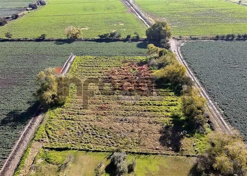 Parcela en venta en Curacaví — foto 6