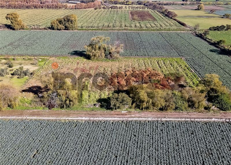 Parcela en venta en Curacaví — foto 8