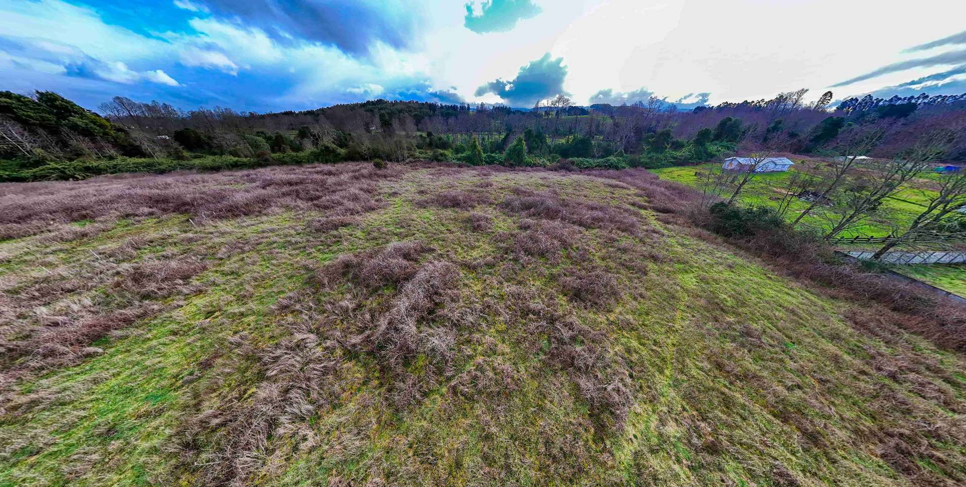 Terreno en venta en Paillaco — foto 1