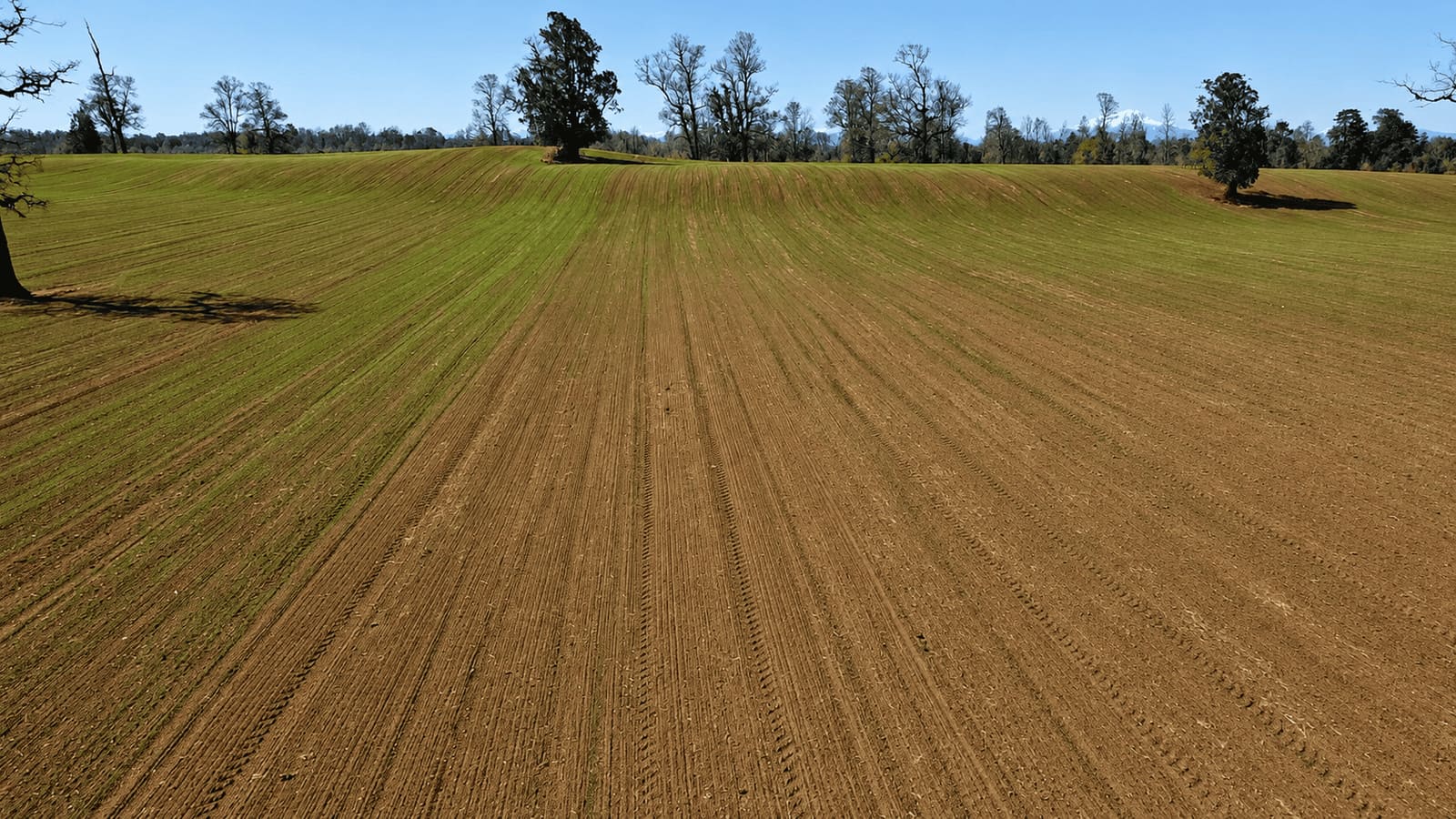 Campo en venta en Frutillar — foto 3