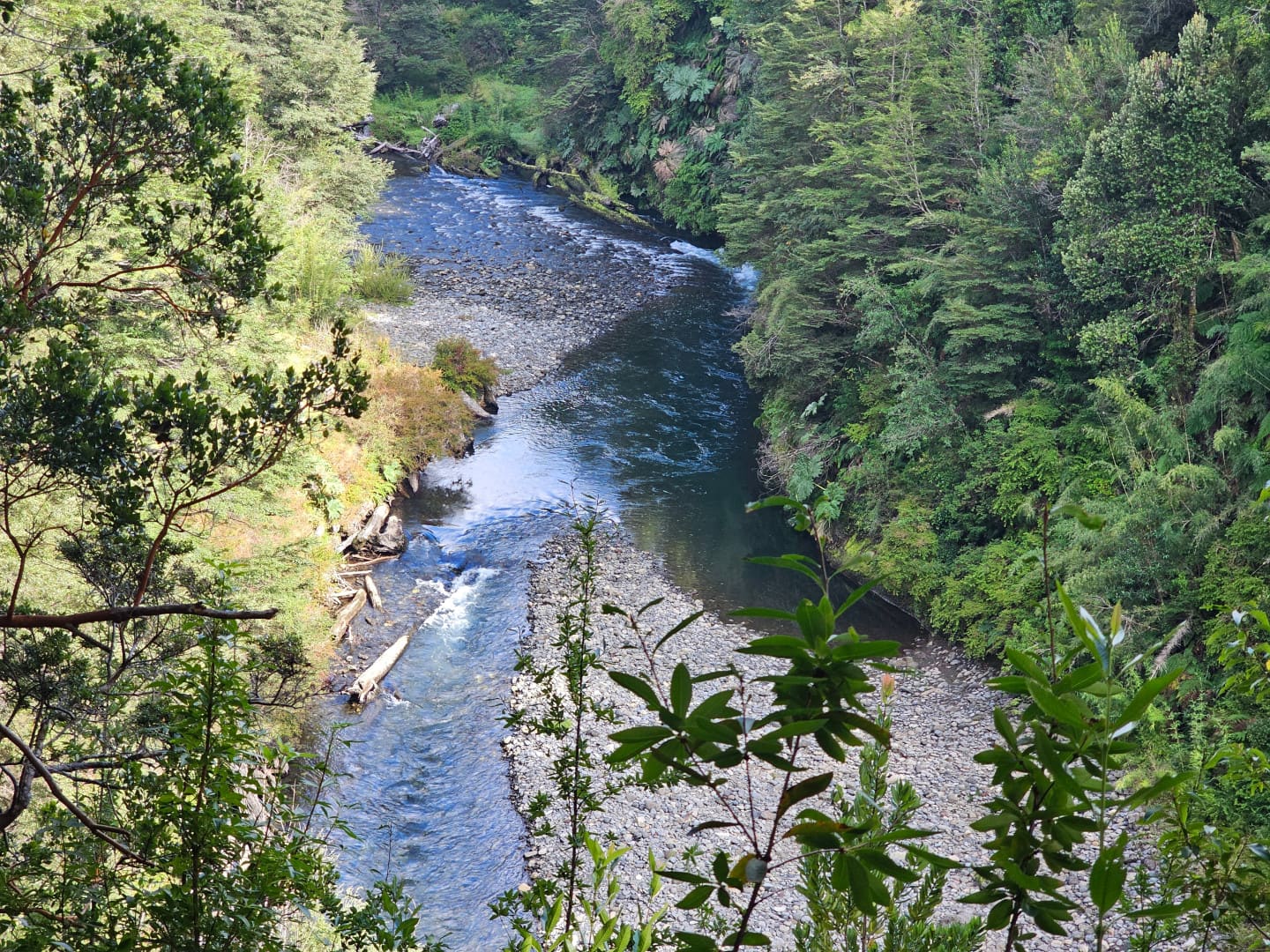 Parcela en venta en Lago Ranco — foto 6