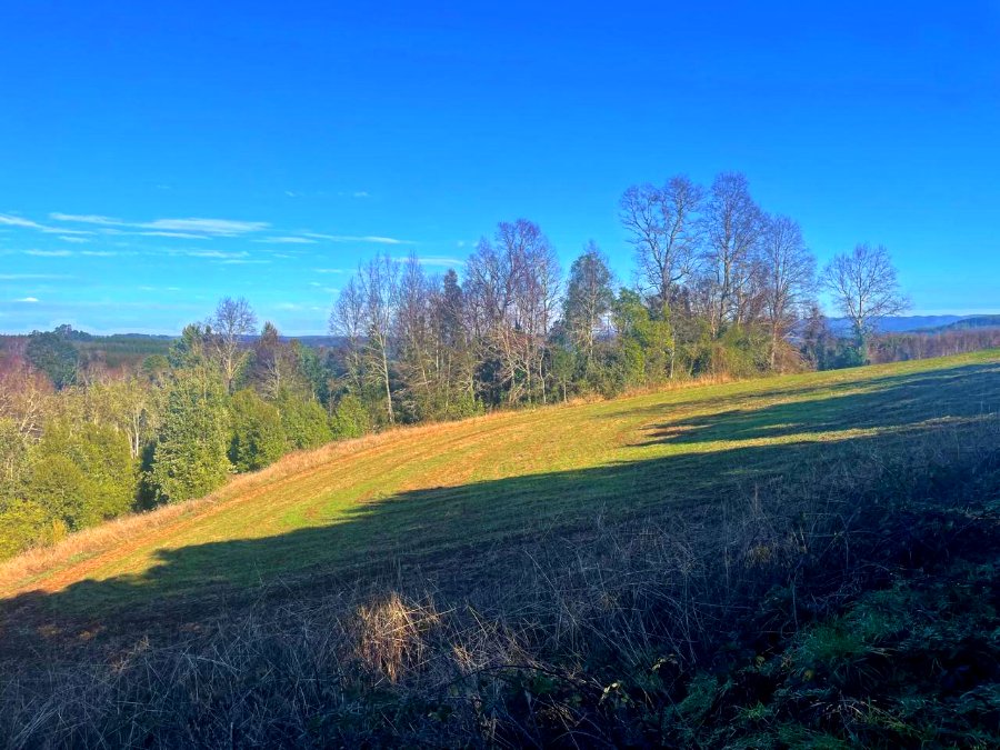 Campo en venta en Río Negro — foto 2