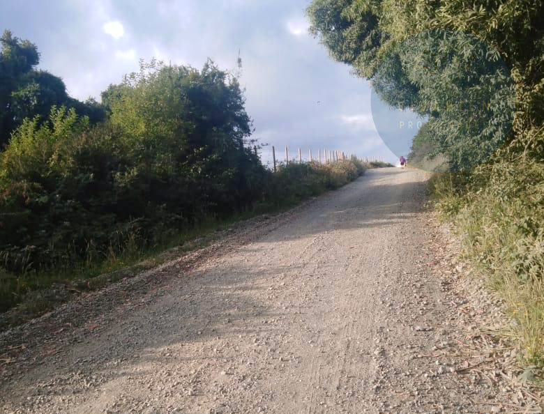 Terreno en venta en Calbuco — foto 6