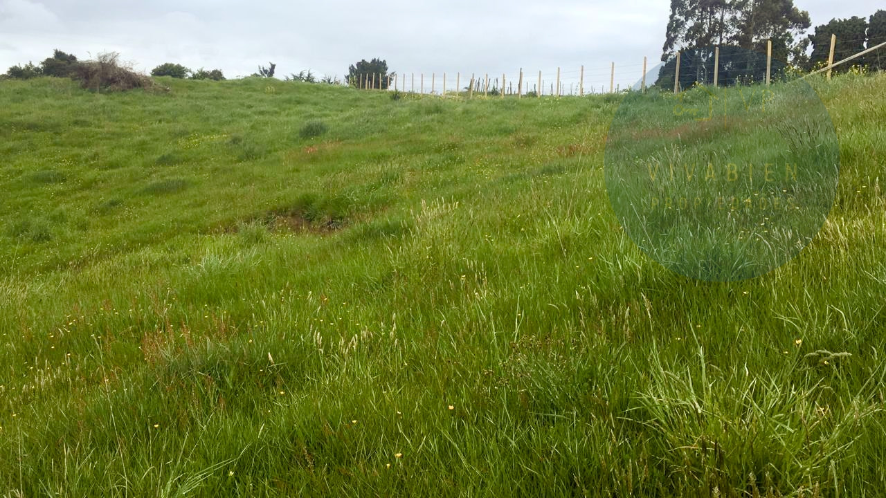 Terreno en venta en Calbuco — foto 8