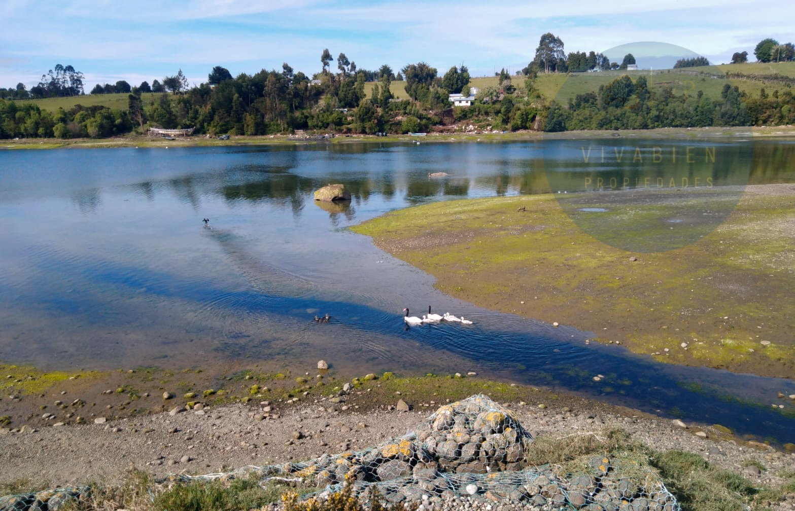 Terreno en venta en Calbuco — foto 10