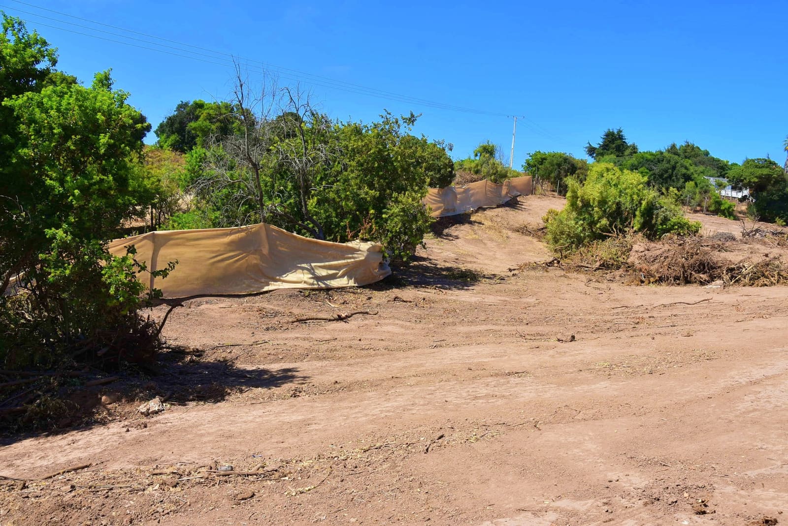 Terreno en venta en Quintero — foto 10
