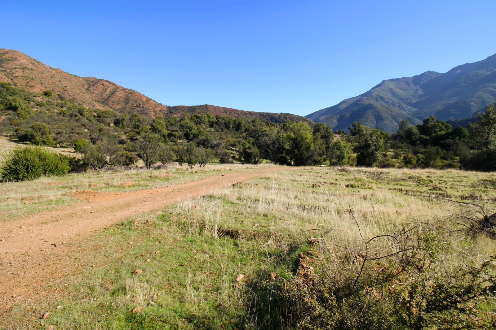 Terreno en venta en Quilpué — foto 4