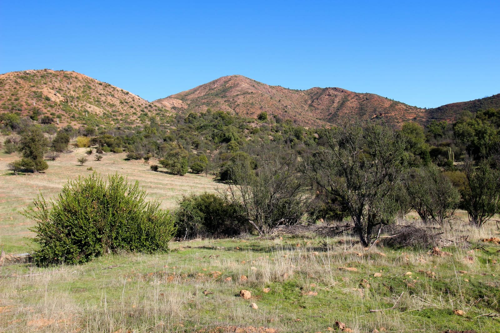Terreno en venta en Quilpué — foto 5