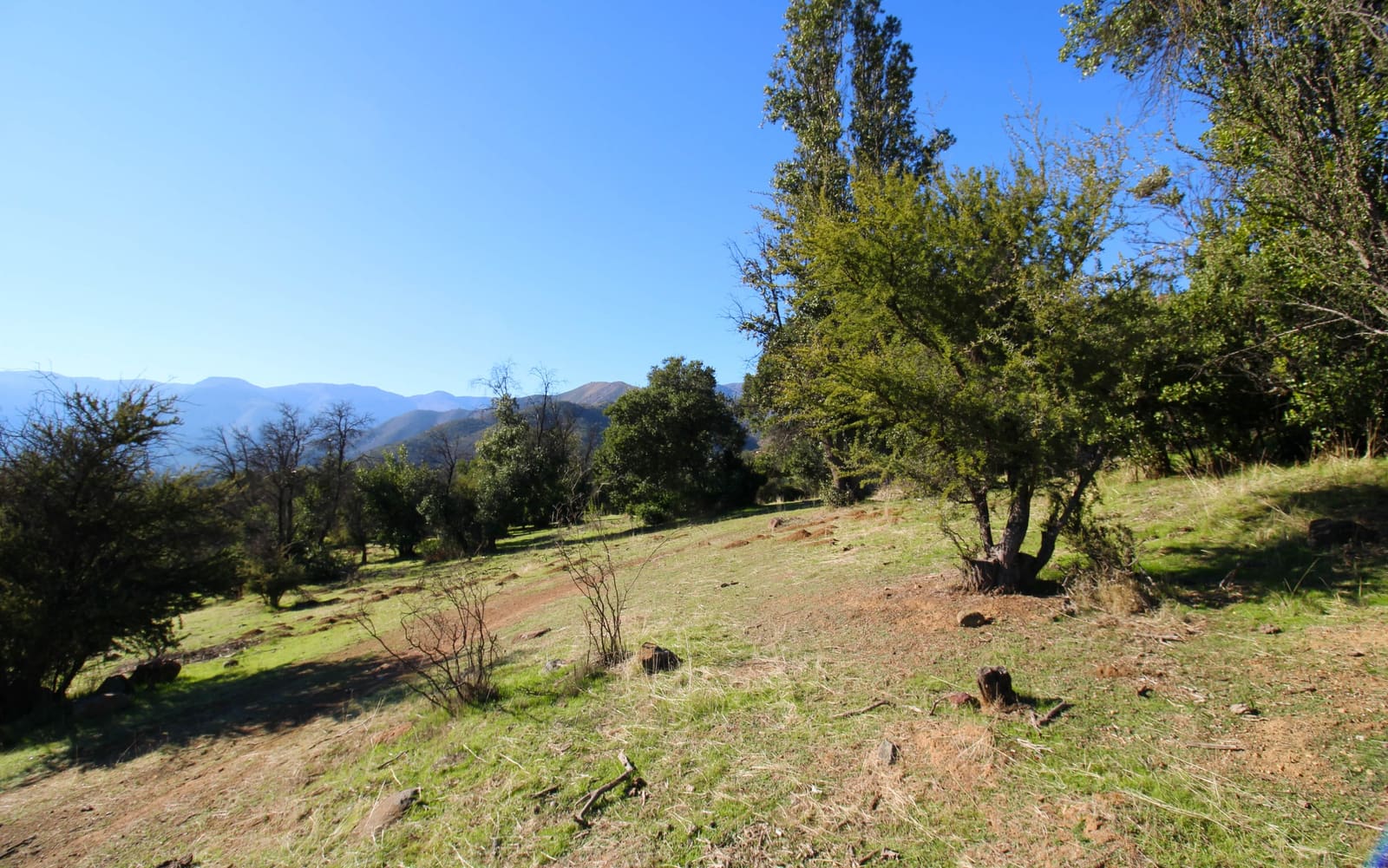 Terreno en venta en Quilpué — foto 6