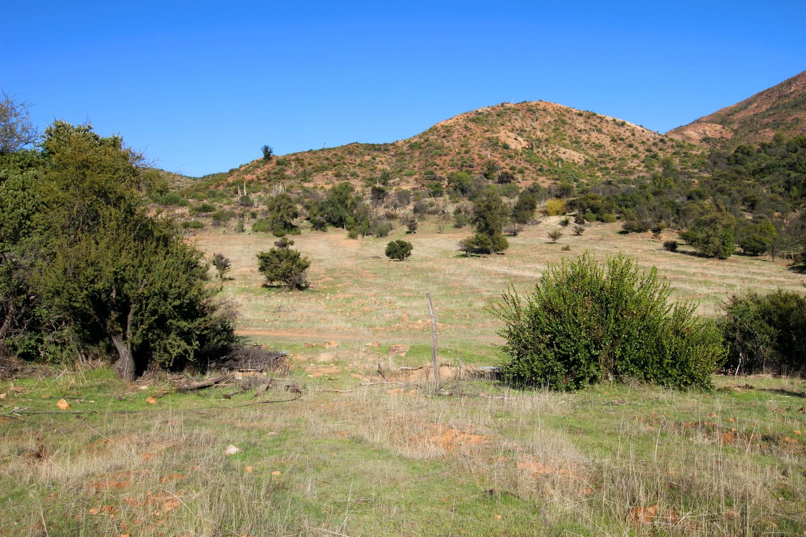 Terreno en venta en Quilpué — foto 7