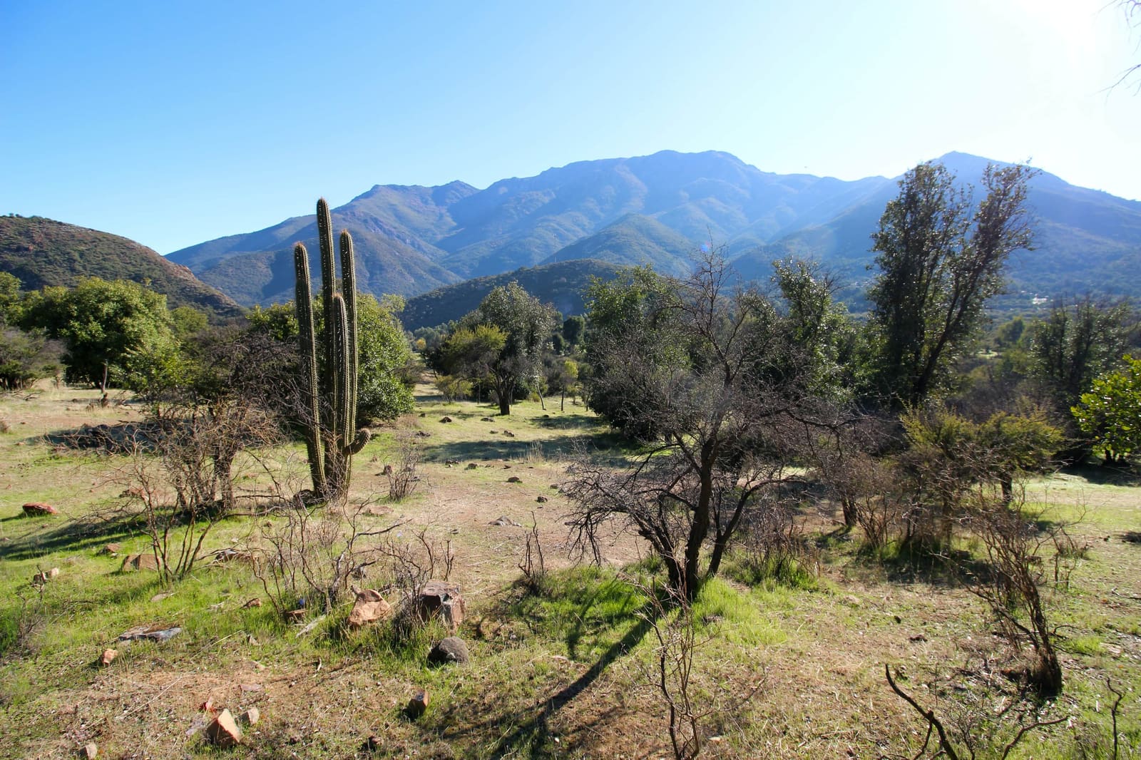 Terreno en venta en Quilpué — foto 8