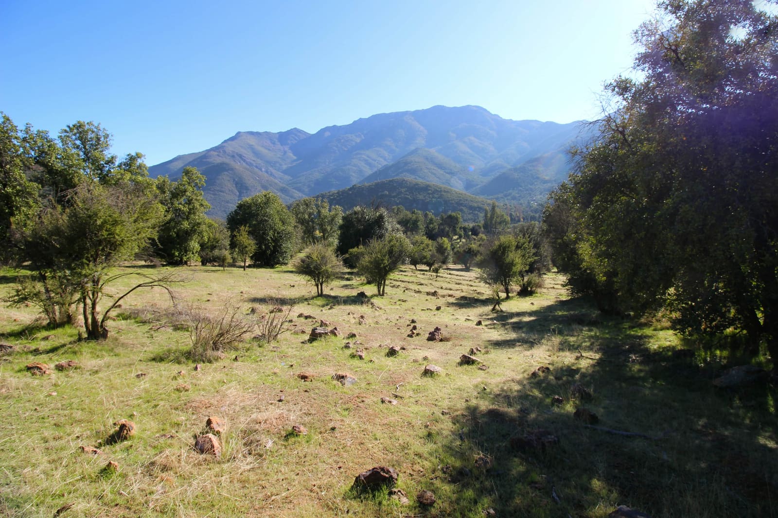 Terreno en venta en Quilpué — foto 9