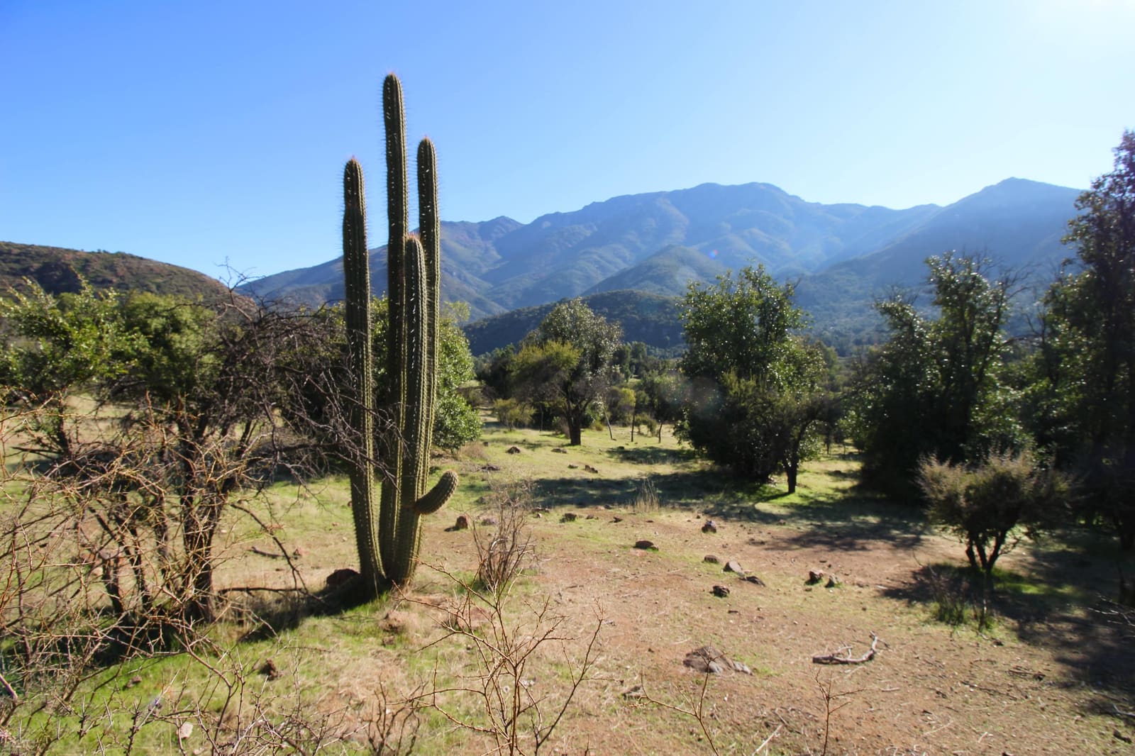 Terreno en venta en Quilpué — foto 10