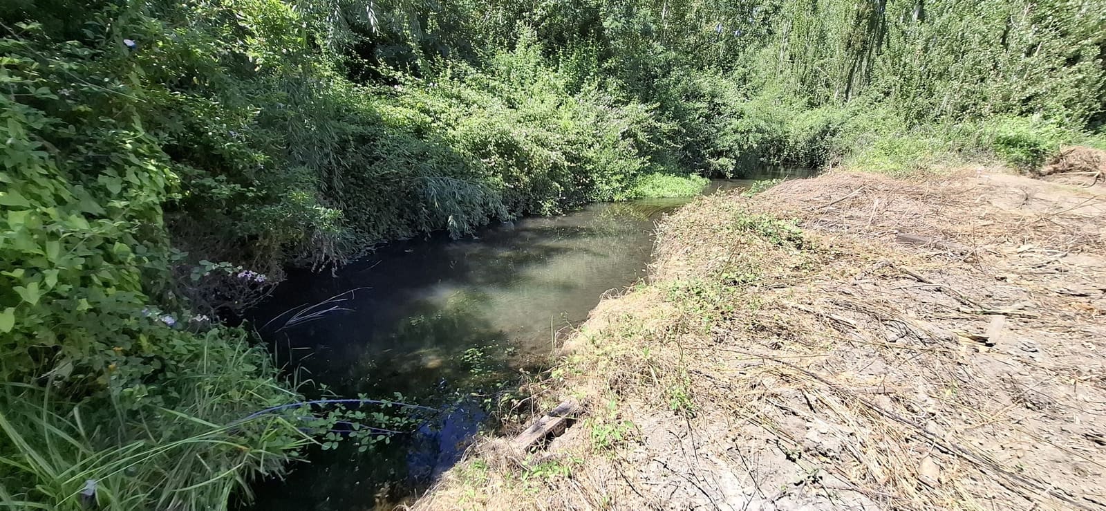 Parcela en venta en Coltauco — foto 1