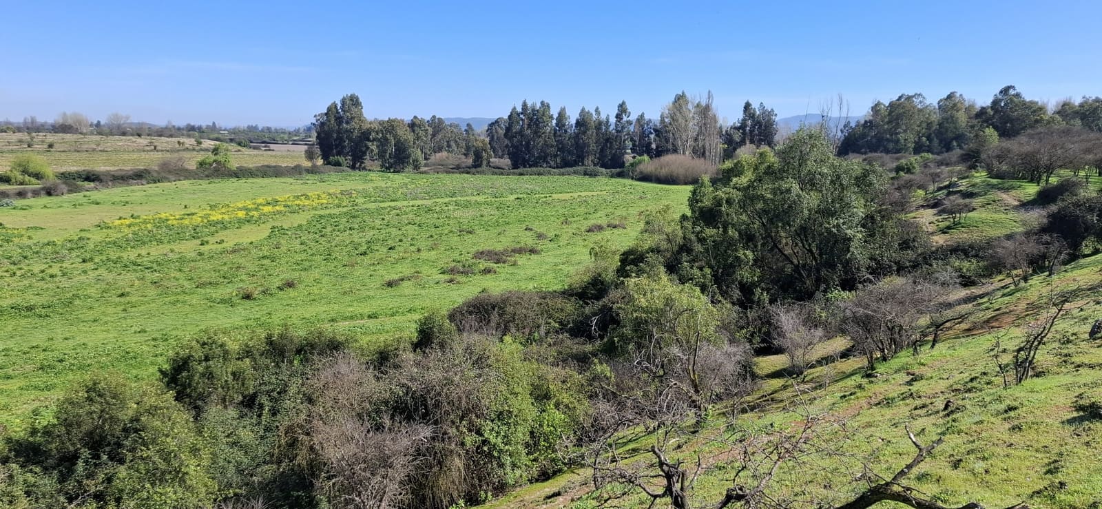 Campo en venta en Las Cabras — foto 3