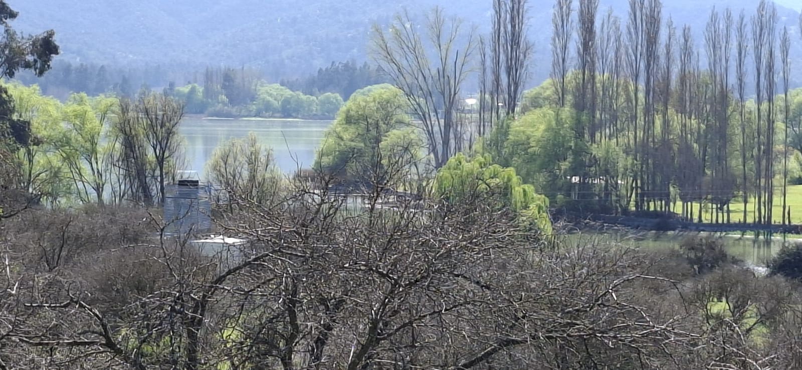 Campo en venta en Las Cabras — foto 4