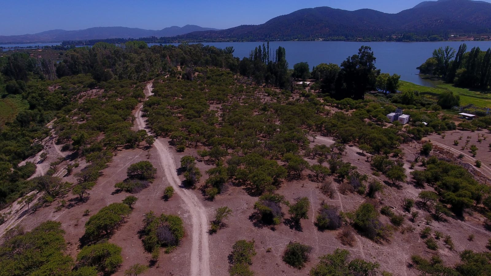 Campo en venta en Las Cabras — foto 5