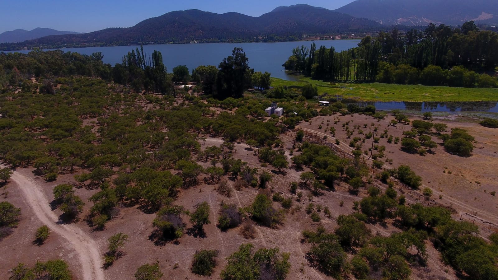 Campo en venta en Las Cabras — foto 6