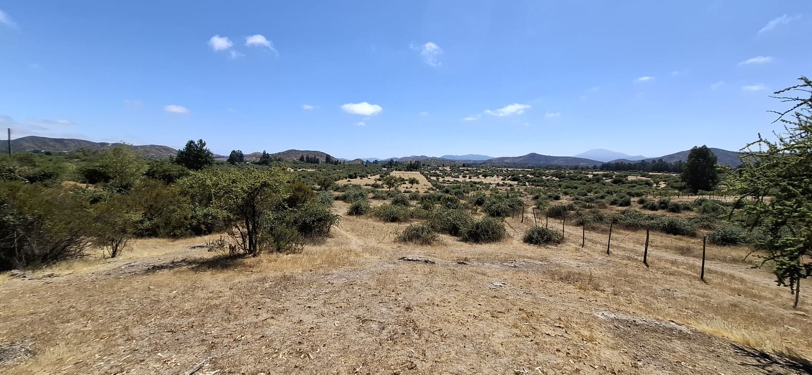 Campo en venta en Las Cabras — foto 3