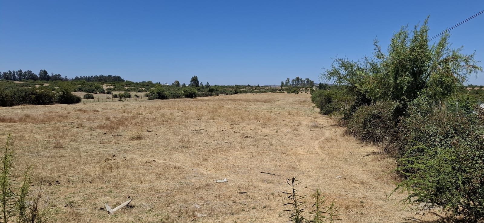 Campo en venta en Las Cabras — foto 5