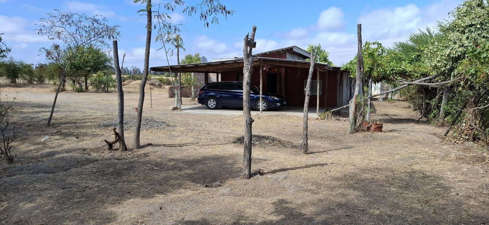 Campo en venta en Las Cabras — foto 8