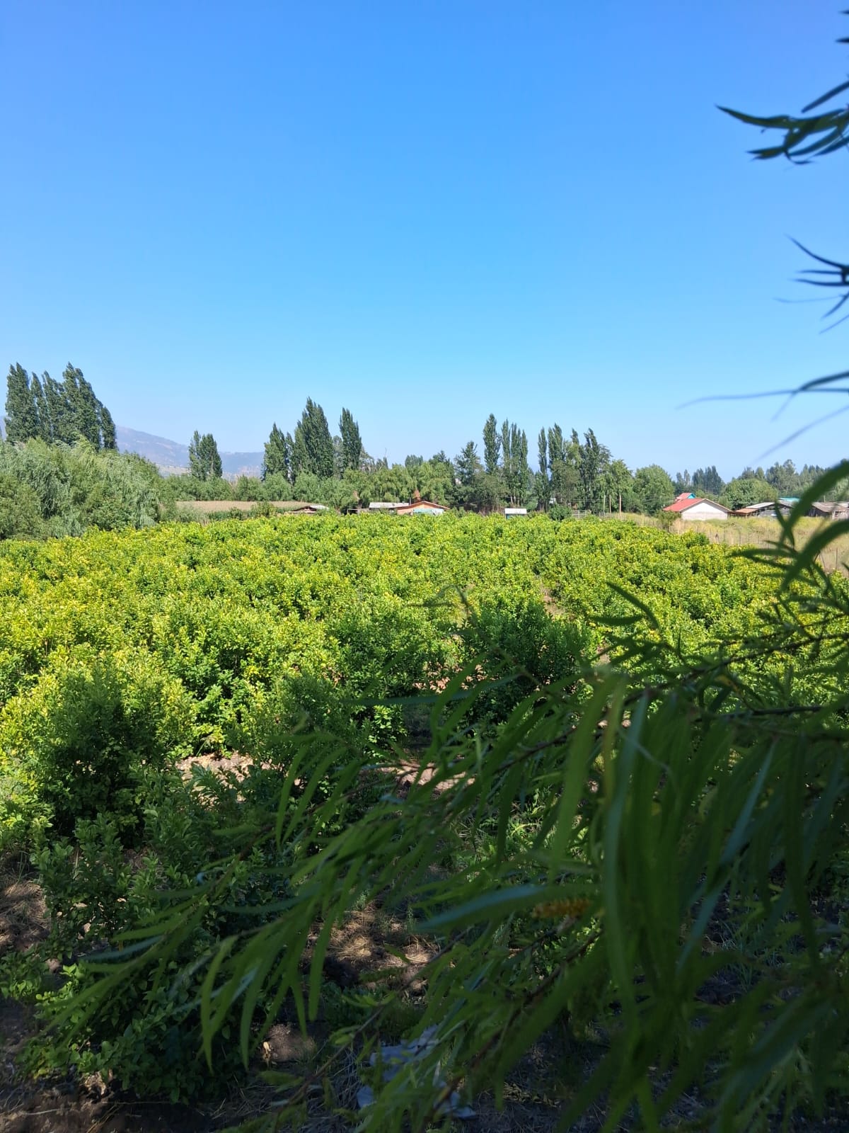 Parcela en venta en San Vicente — foto 6