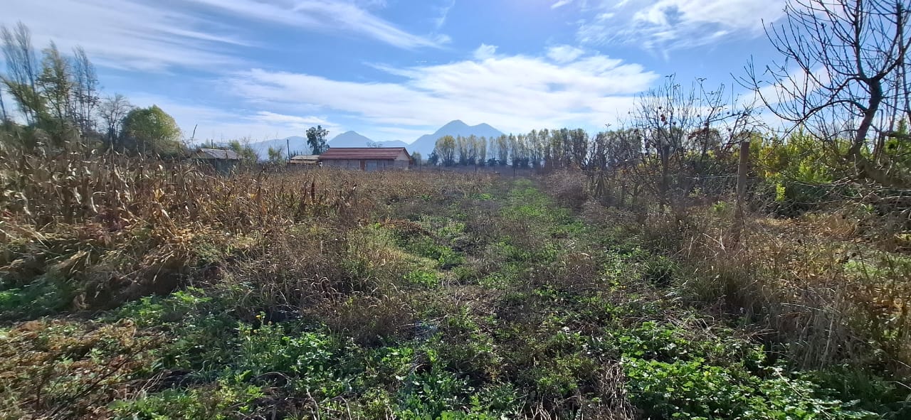 Parcela en venta en San Vicente — foto 10