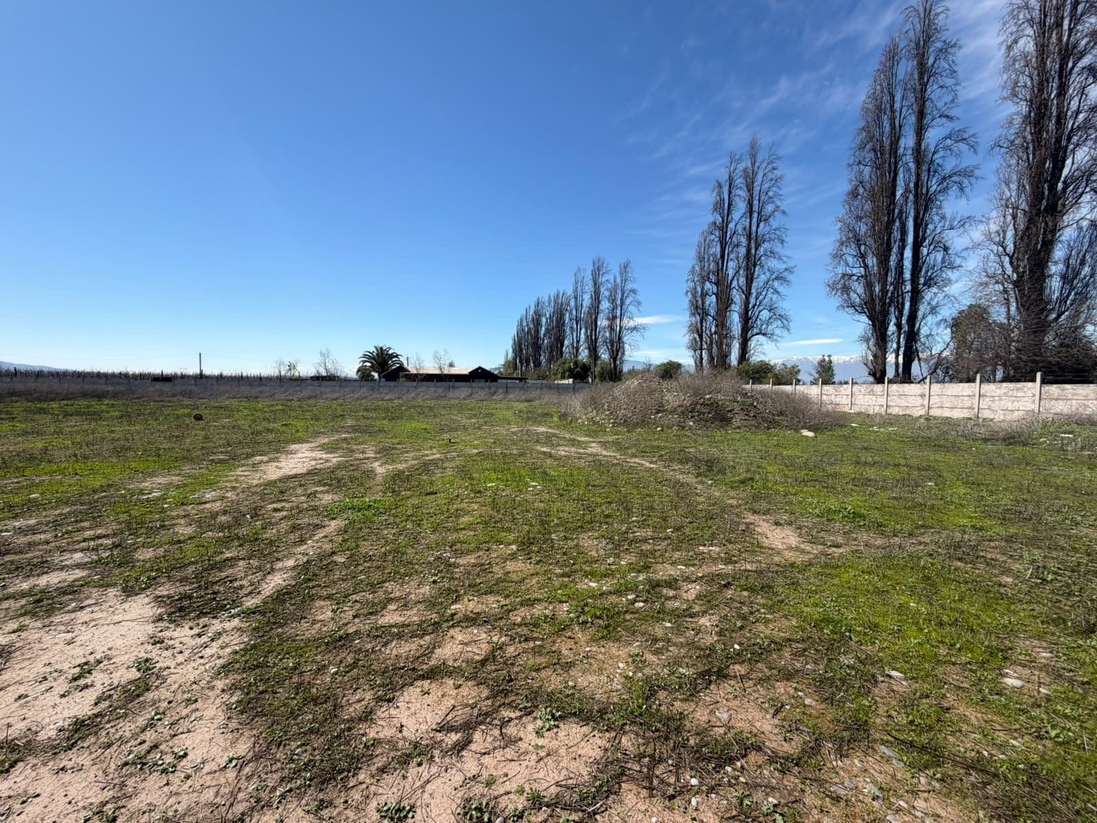 Terreno en venta en Buin — foto 3