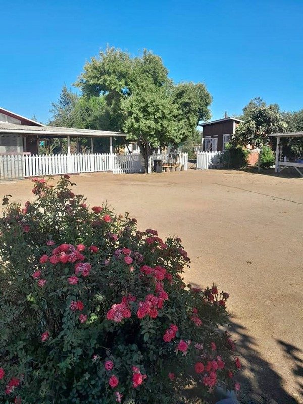 Parcela en venta en San Pedro — foto 3