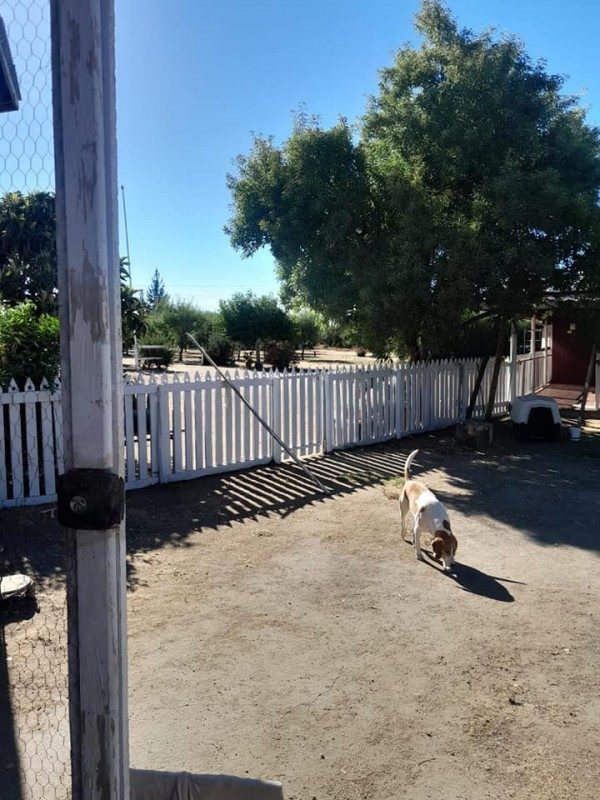 Parcela en venta en San Pedro — foto 7