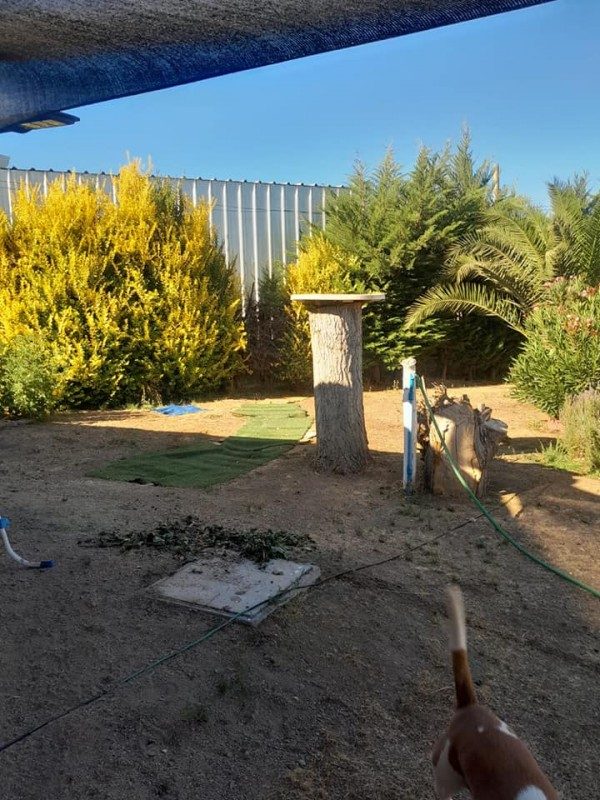 Parcela en venta en San Pedro — foto 10