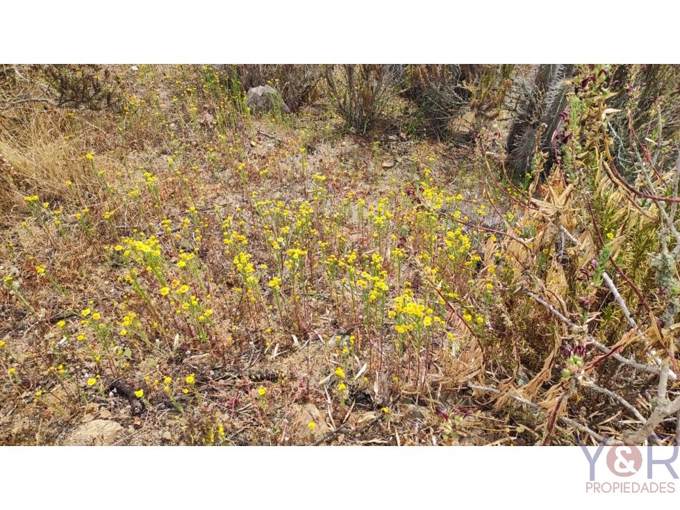 Terreno en venta en La Serena — foto 7
