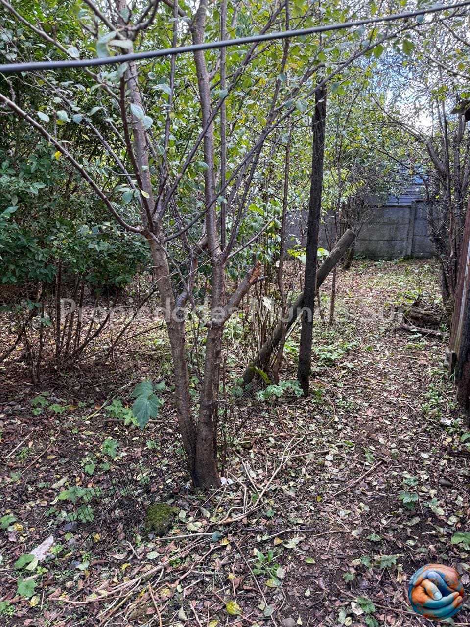 Casa en venta en Valdivia — foto 2