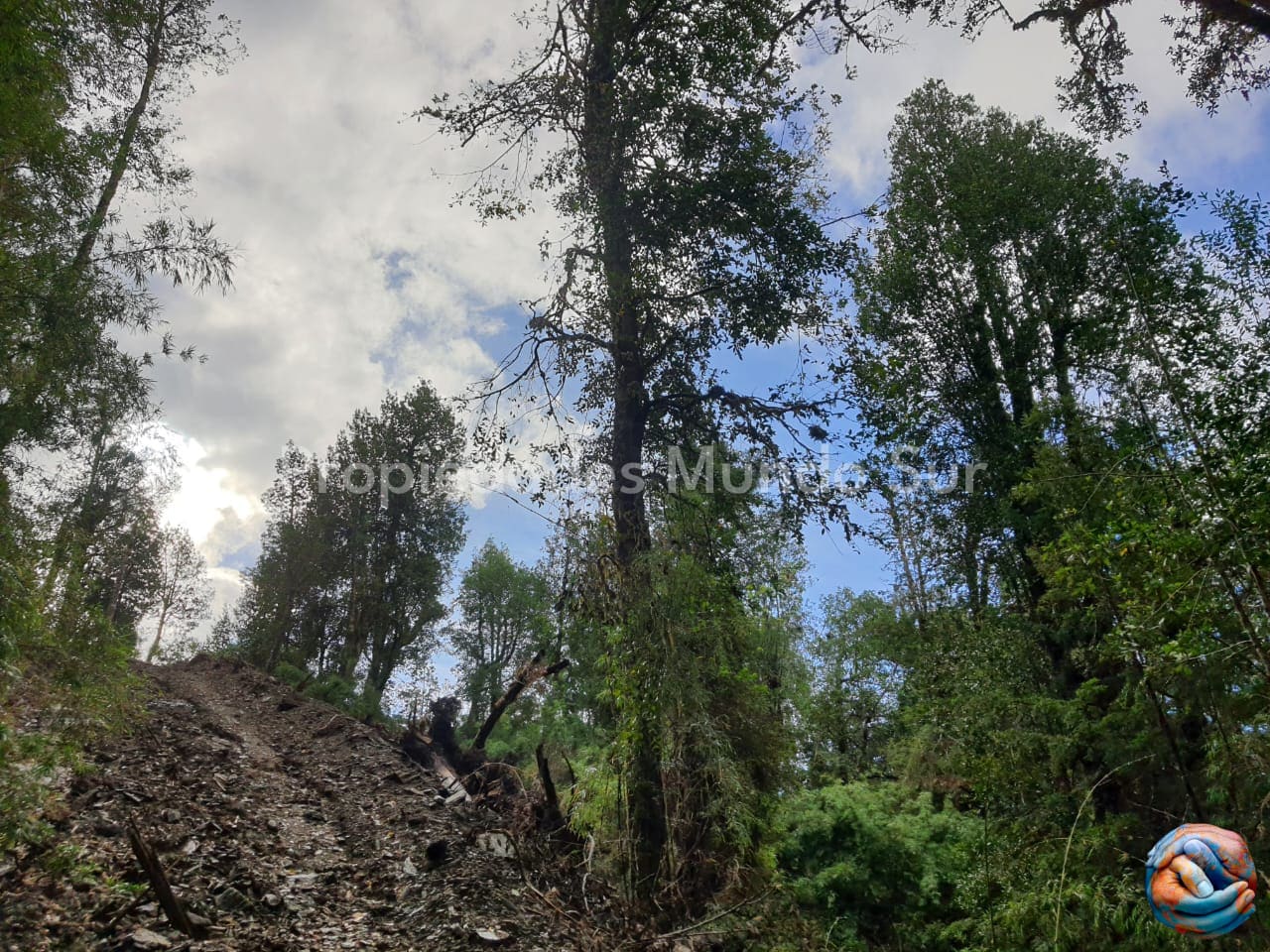 Parcela en venta en Mariquina — foto 2