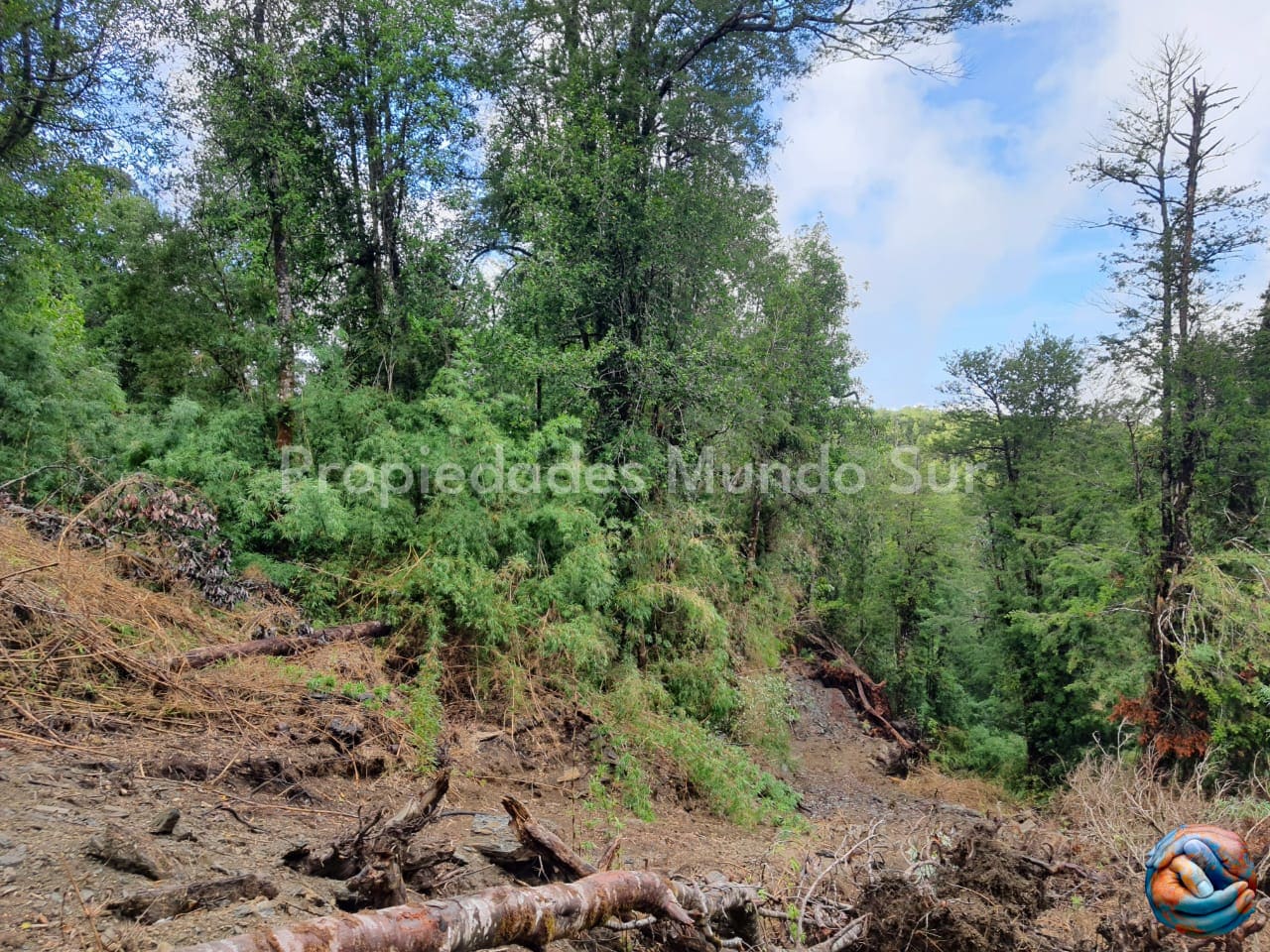 Parcela en venta en Mariquina — foto 5
