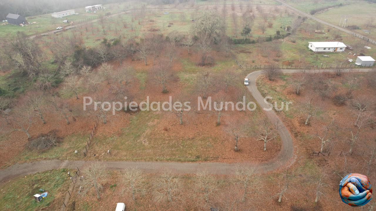 Parcela en venta en Valdivia — foto 2