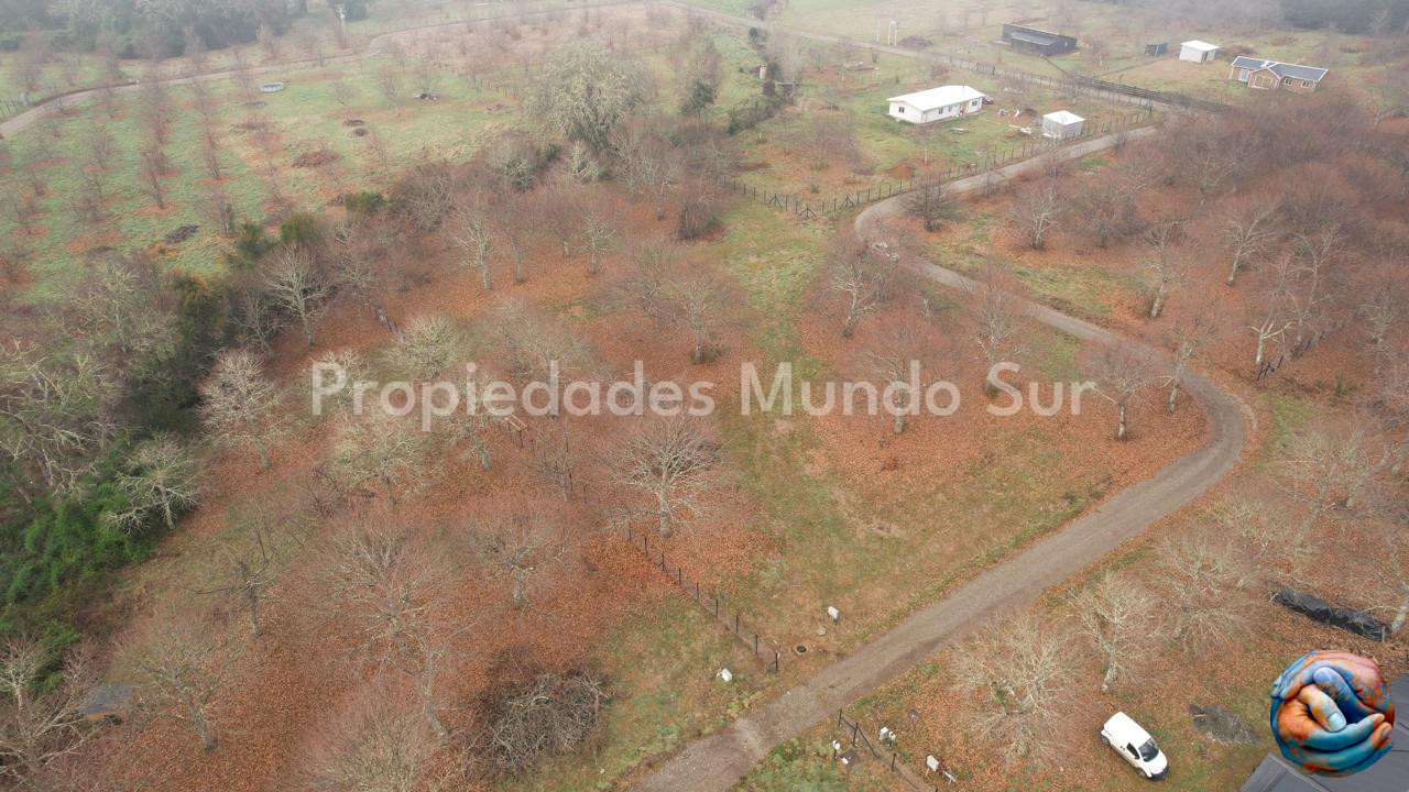 Parcela en venta en Valdivia — foto 3