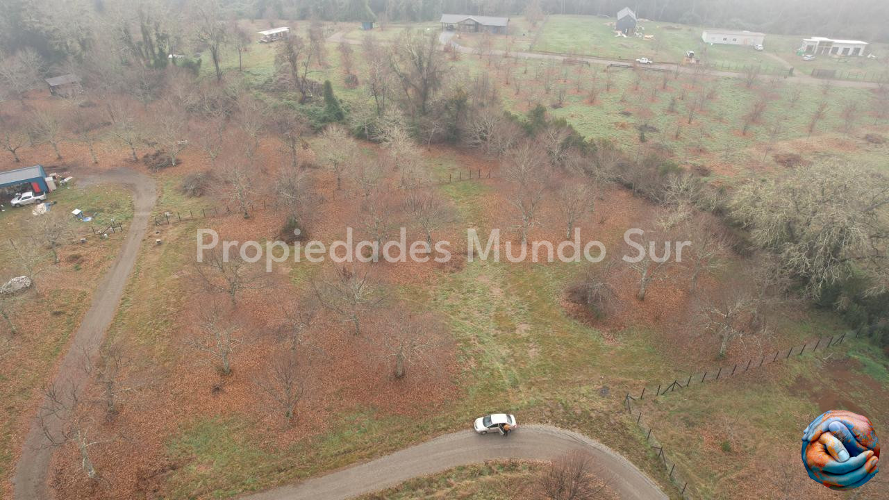 Parcela en venta en Valdivia — foto 5