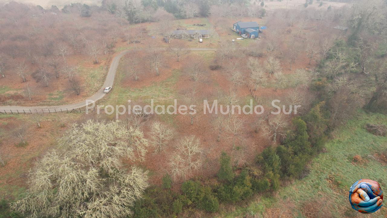 Parcela en venta en Valdivia — foto 6