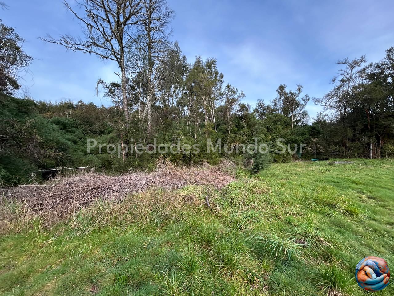 Parcela en venta en Valdivia — foto 2