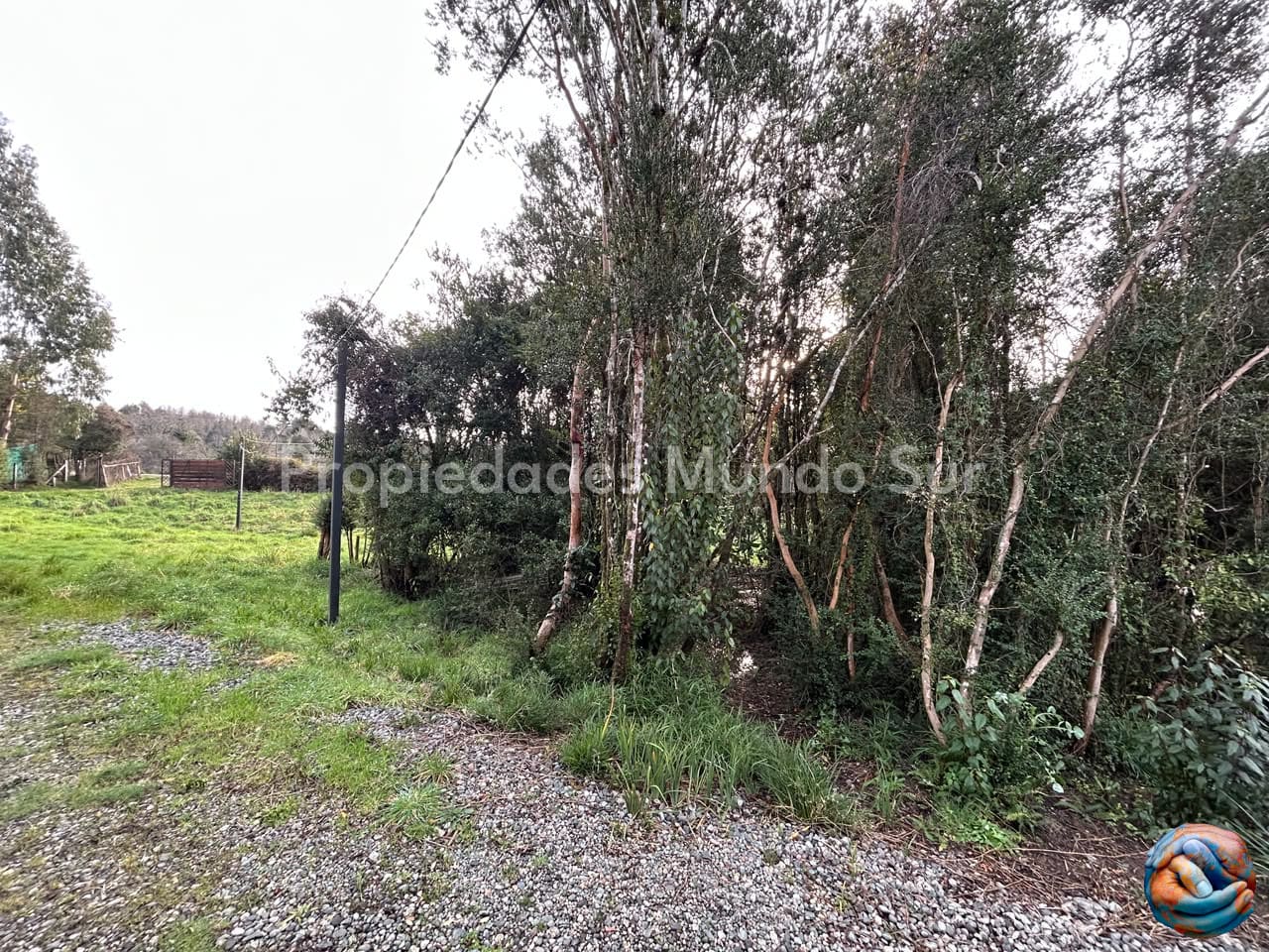 Parcela en venta en Valdivia — foto 6