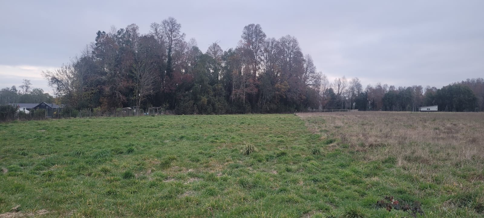 Parcela en venta en Valdivia — foto 1