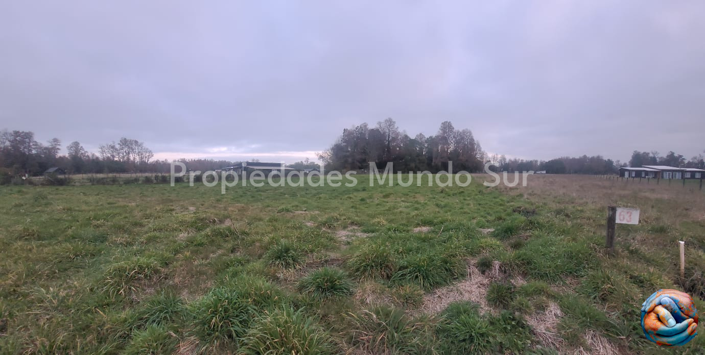 Parcela en venta en Valdivia — foto 5