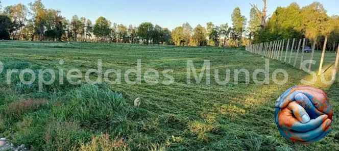 Parcela en venta en Valdivia — foto 8