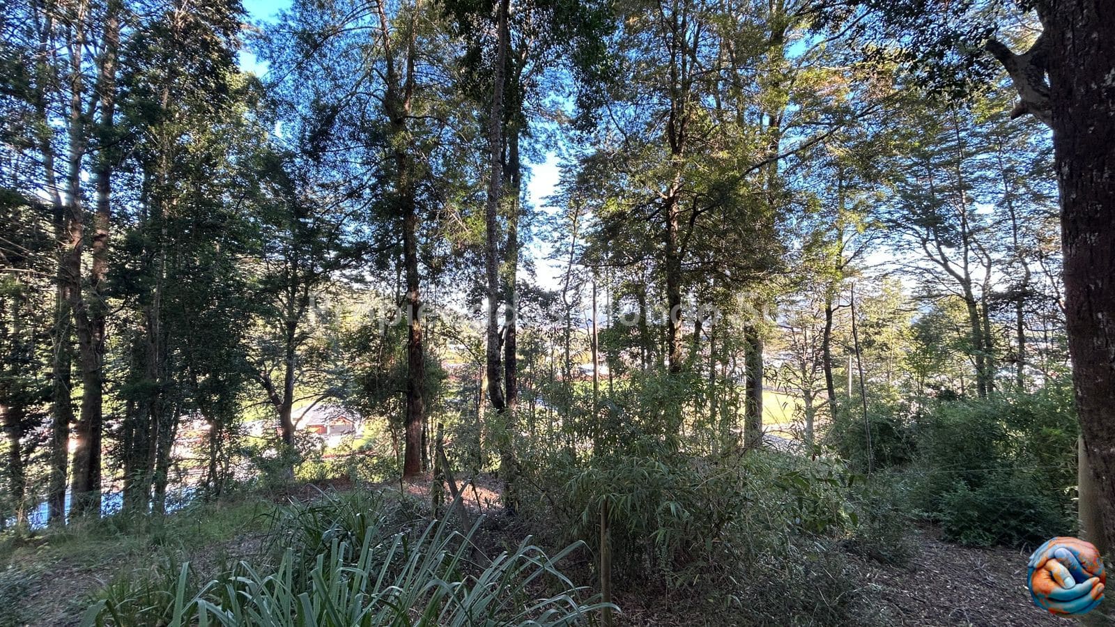 Parcela en venta en Valdivia — foto 5
