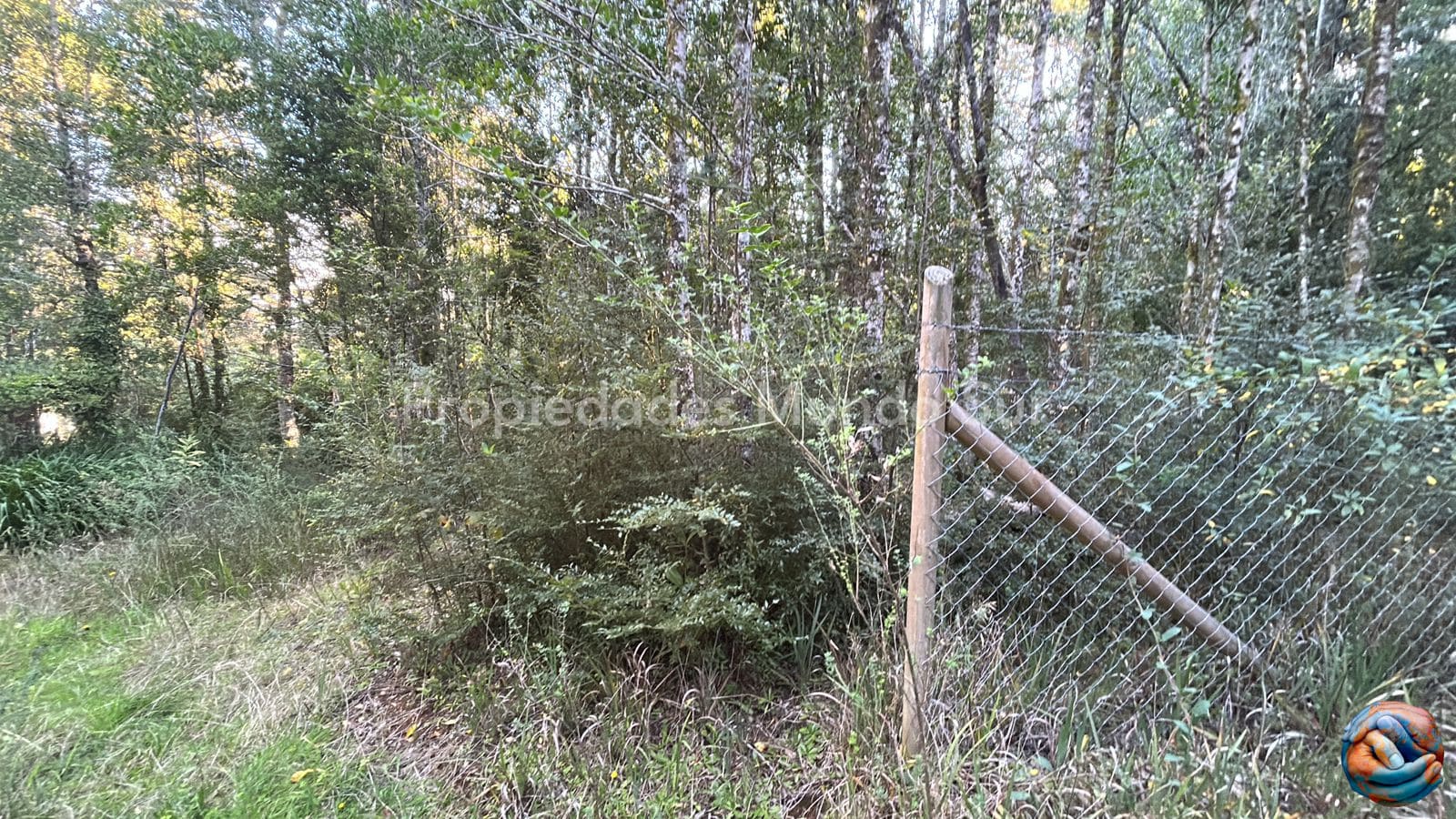 Parcela en venta en Valdivia — foto 7