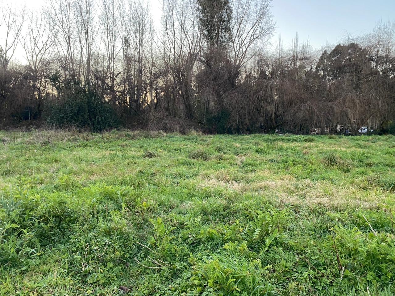 Parcela en venta en Valdivia — foto 1
