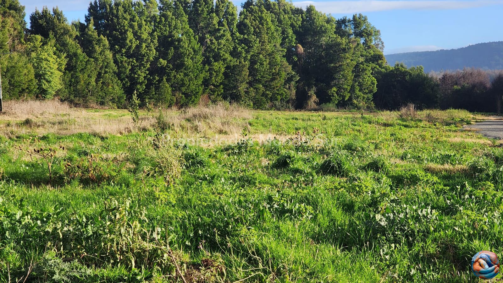 Parcela en venta en Valdivia — foto 4
