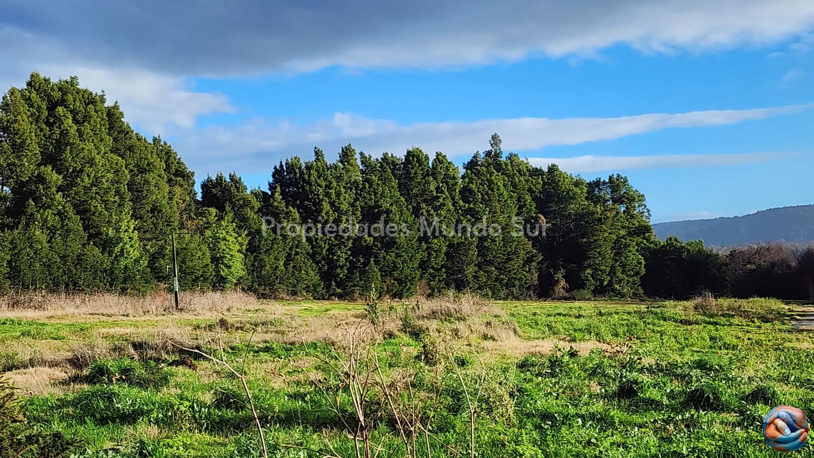 Parcela en venta en Valdivia — foto 8